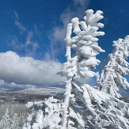 Holiday home Elfenhaeuschen Mit 3 Dtv Sternen Ausgezeichnet *
