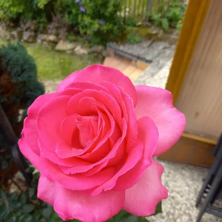 Elfenhaeuschen Mit 3 Dtv Sternen Ausgezeichnet Holiday home