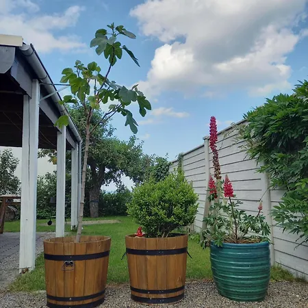 Holiday home Elfenhaeuschen Mit 3 Dtv Sternen Ausgezeichnet Bad Harzburg