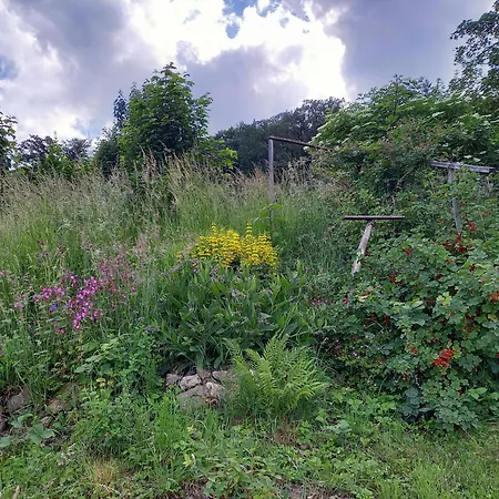 Elfenhaeuschen Mit 3 Dtv Sternen Ausgezeichnet * Bad Harzburg