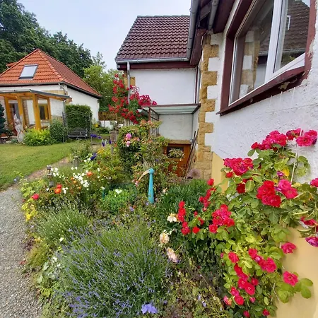 Elfenhaeuschen Mit 3 Dtv Sternen Ausgezeichnet Holiday home